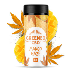 Mango Haze fleur CBD