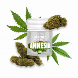 Amnesia Fleur CBD