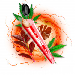 PRE ROLL MAGIC ROUGE NXT+