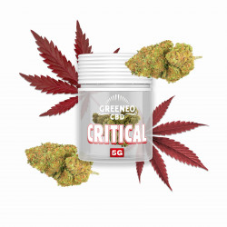 CRITICAL FLEUR 13% CBD 5G