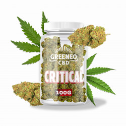 CRITICAL FLEUR 13% CBD VRAC...