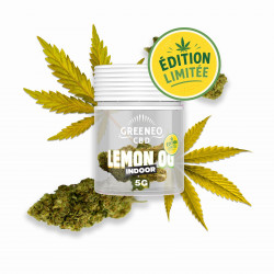 LEMON OG INDOOR 12 %CBG...