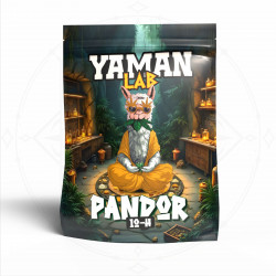 RÉSINE PANDOR 10-H  3 GRAMMES