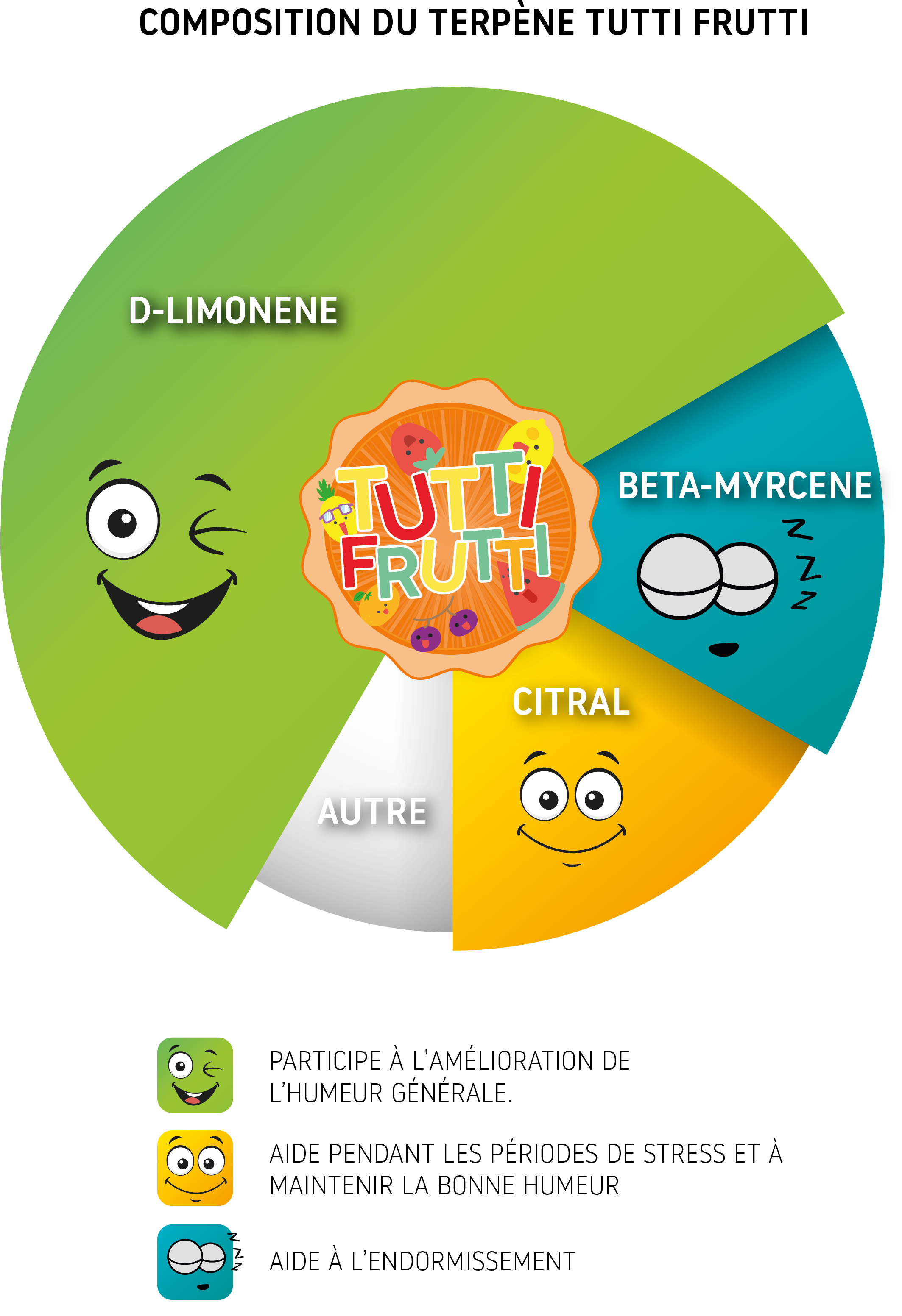 Infographie Tutti Frutti