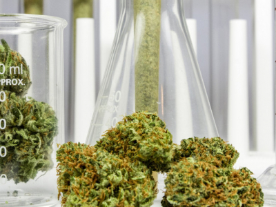 Traçabilité, tests en labo, labels… comment reconnaître un bon produit CBD ?
