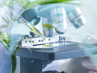 THCP : le cannabinoïde ultra-puissant qui fait parler de lui